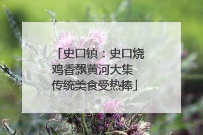 史口镇：史口烧鸡香飘黄河大集 传统美食受热捧