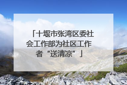 十堰市张湾区委社会工作部为社区工作者“送清凉”