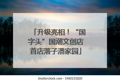 升级亮相！“国字头”国潮文创店首店落子潘家园