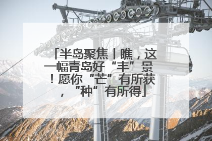 半岛聚焦丨瞧，这一幅青岛好“丰”景！愿你“芒”有所获，“种”有所得