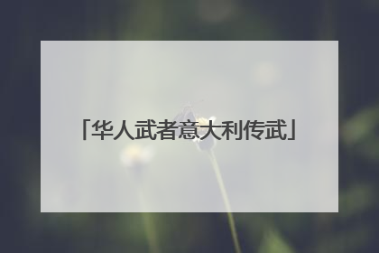华人武者意大利传武