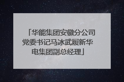 华能集团安徽分公司党委书记马冰武履新华电集团副总经理