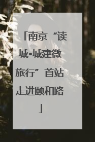 南京“读城•城建微旅行”首站走进颐和路