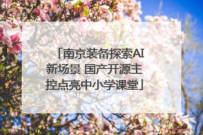 南京装备探索AI新场景 国产开源主控点亮中小学课堂