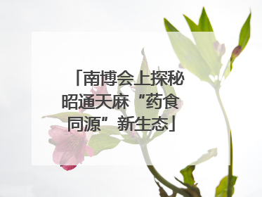 南博会上探秘昭通天麻“药食同源”新生态