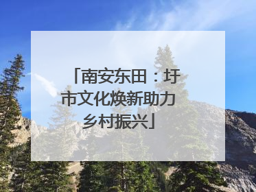 南安东田：圩市文化焕新助力乡村振兴
