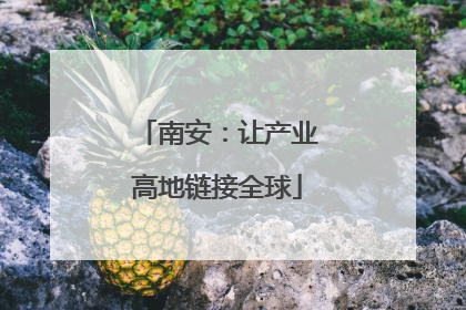 南安：让产业高地链接全球
