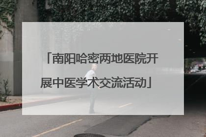 南阳哈密两地医院开展中医学术交流活动