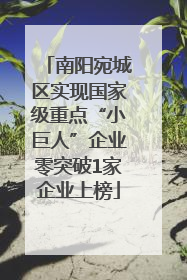 南阳宛城区实现国家级重点“小巨人”企业零突破1家企业上榜