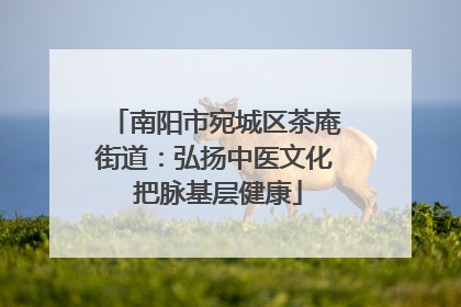南阳市宛城区茶庵街道：弘扬中医文化 把脉基层健康
