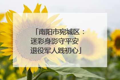 南阳市宛城区：迷彩身影守平安 退役军人践初心