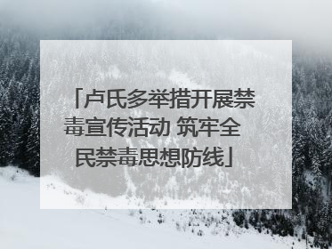 卢氏多举措开展禁毒宣传活动 筑牢全民禁毒思想防线