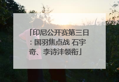 印尼公开赛第三日：国羽焦点战 石宇奇、李诗沣领衔