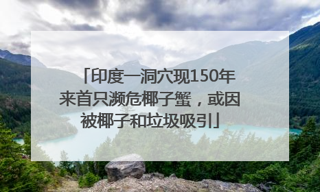 印度一洞穴现150年来首只濒危椰子蟹，或因被椰子和垃圾吸引