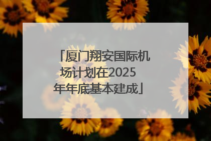 厦门翔安国际机场计划在2025年年底基本建成