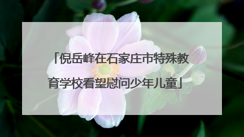 倪岳峰在石家庄市特殊教育学校看望慰问少年儿童