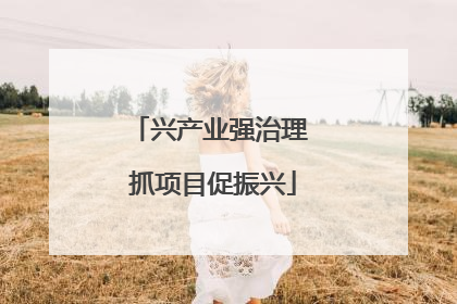 兴产业强治理 抓项目促振兴