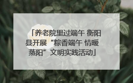 养老院里过端午 衡阳县开展“粽香端午 情暖蒸阳”文明实践活动