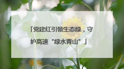 党建红引领生态绿，守护高速“绿水青山”