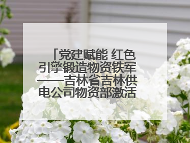 党建赋能 红色引擎锻造物资铁军——吉林省吉林供电公司物资部激活供应链新动能