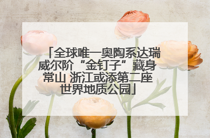 全球唯一奥陶系达瑞威尔阶“金钉子”藏身常山 浙江或添第二座世界地质公园