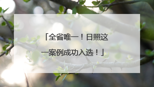 全省唯一！日照这一案例成功入选！