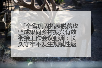 全省巩固拓展脱贫攻坚成果同乡村振兴有效衔接工作会议强调：长久守牢不发生规模性返贫致贫底线 王宁出席并讲话 王予波主持