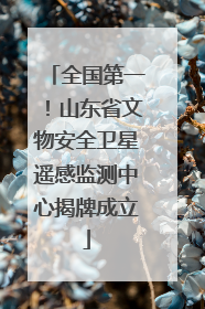 全国第一！山东省文物安全卫星遥感监测中心揭牌成立