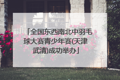 全国东西南北中羽毛球大赛青少年赛(天津武清)成功举办