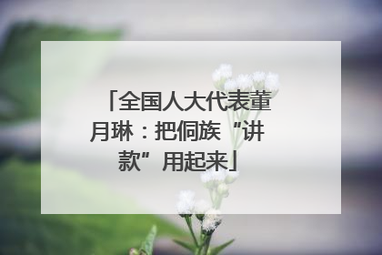 全国人大代表董月琳：把侗族“讲款”用起来
