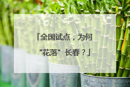 全国试点，为何“花落”长春？