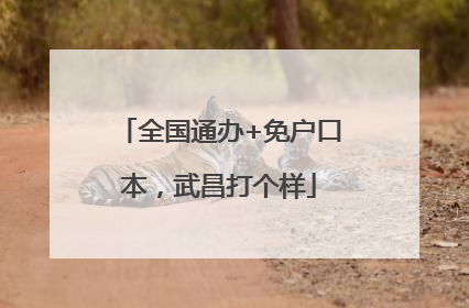 全国通办+免户口本，武昌打个样