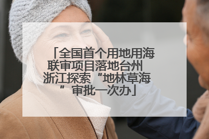 全国首个用地用海联审项目落地台州 浙江探索“地林草海”审批一次办