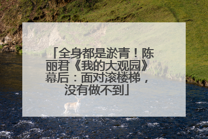 全身都是淤青！陈丽君《我的大观园》幕后：面对滚楼梯，没有做不到