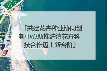 共建花卉种业协同创新中心助推沪滇花卉科技合作迈上新台阶
