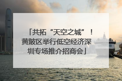 共拓“天空之城”！黄陂区举行低空经济深圳专场推介招商会