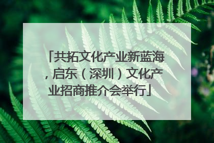 共拓文化产业新蓝海，启东（深圳）文化产业招商推介会举行