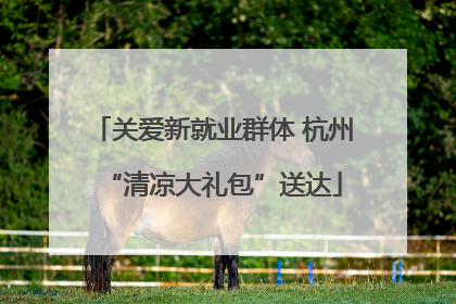 关爱新就业群体 杭州“清凉大礼包”送达