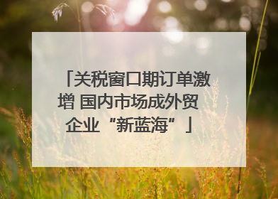 关税窗口期订单激增 国内市场成外贸企业“新蓝海”