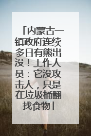 内蒙古一镇政府连续多日有熊出没！工作人员：它没攻击人，只是在垃圾桶翻找食物