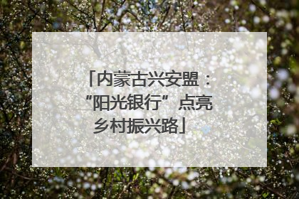 内蒙古兴安盟：“阳光银行”点亮乡村振兴路