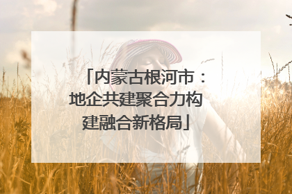 内蒙古根河市：地企共建聚合力构建融合新格局