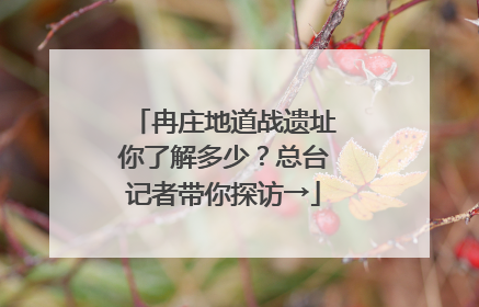 冉庄地道战遗址你了解多少？总台记者带你探访→