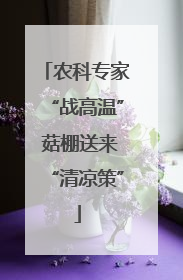 农科专家“战高温” 菇棚送来“清凉策”