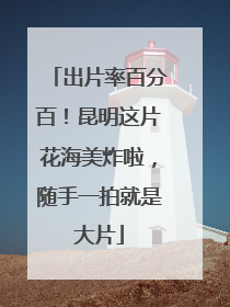 出片率百分百！昆明这片花海美炸啦，随手一拍就是大片