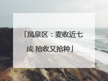 凤泉区：麦收近七成 抢收又抢种