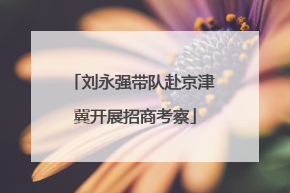 刘永强带队赴京津冀开展招商考察
