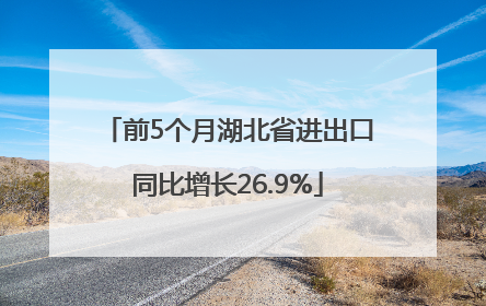 前5个月湖北省进出口同比增长26.9%