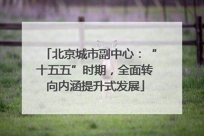 北京城市副中心：“十五五”时期，全面转向内涵提升式发展