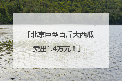 北京巨型百斤大西瓜卖出1.4万元！